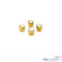Set magneti cilindrici oro metallizzato 10 mm